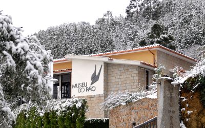 Museu do Pão